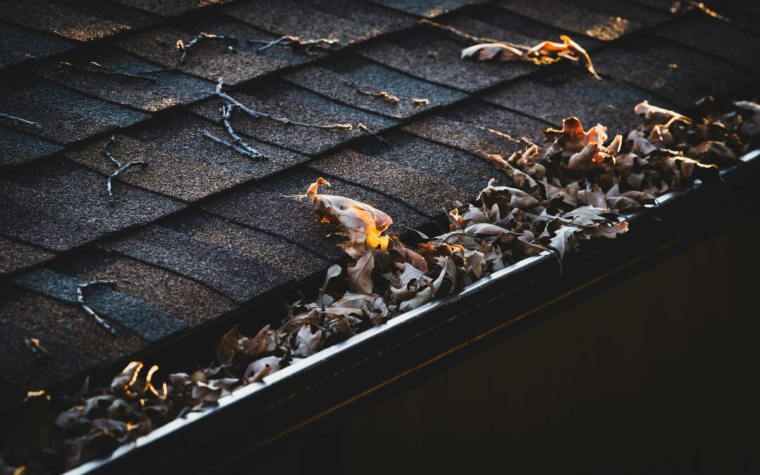 The Dangers of Hail Damage to Your Roof