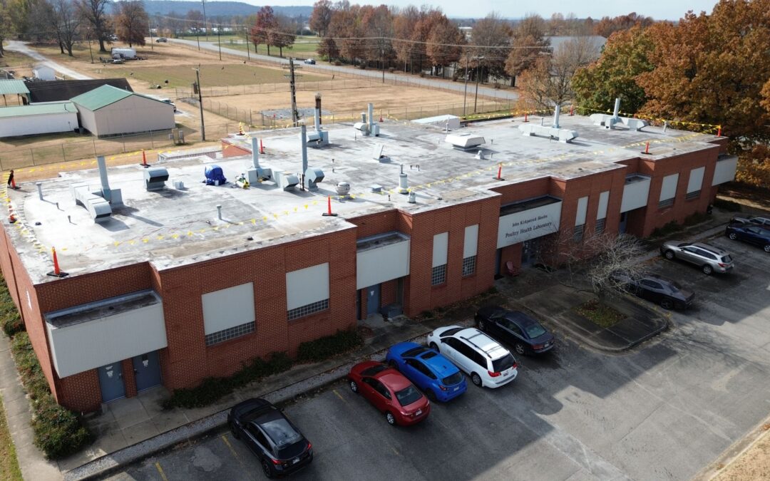 When Should an Industrial Roof Be Repaired Instead of Replaced?